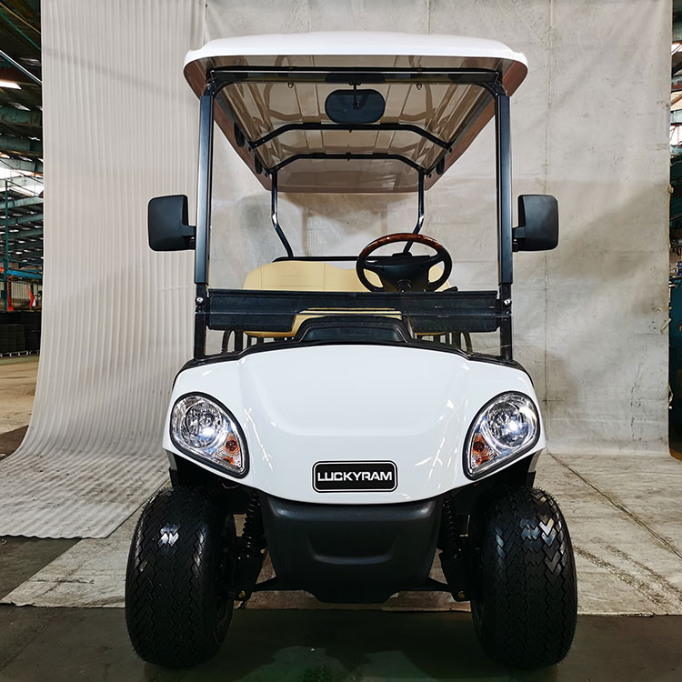 4 seters elektriske golfbil med litiumbatteri