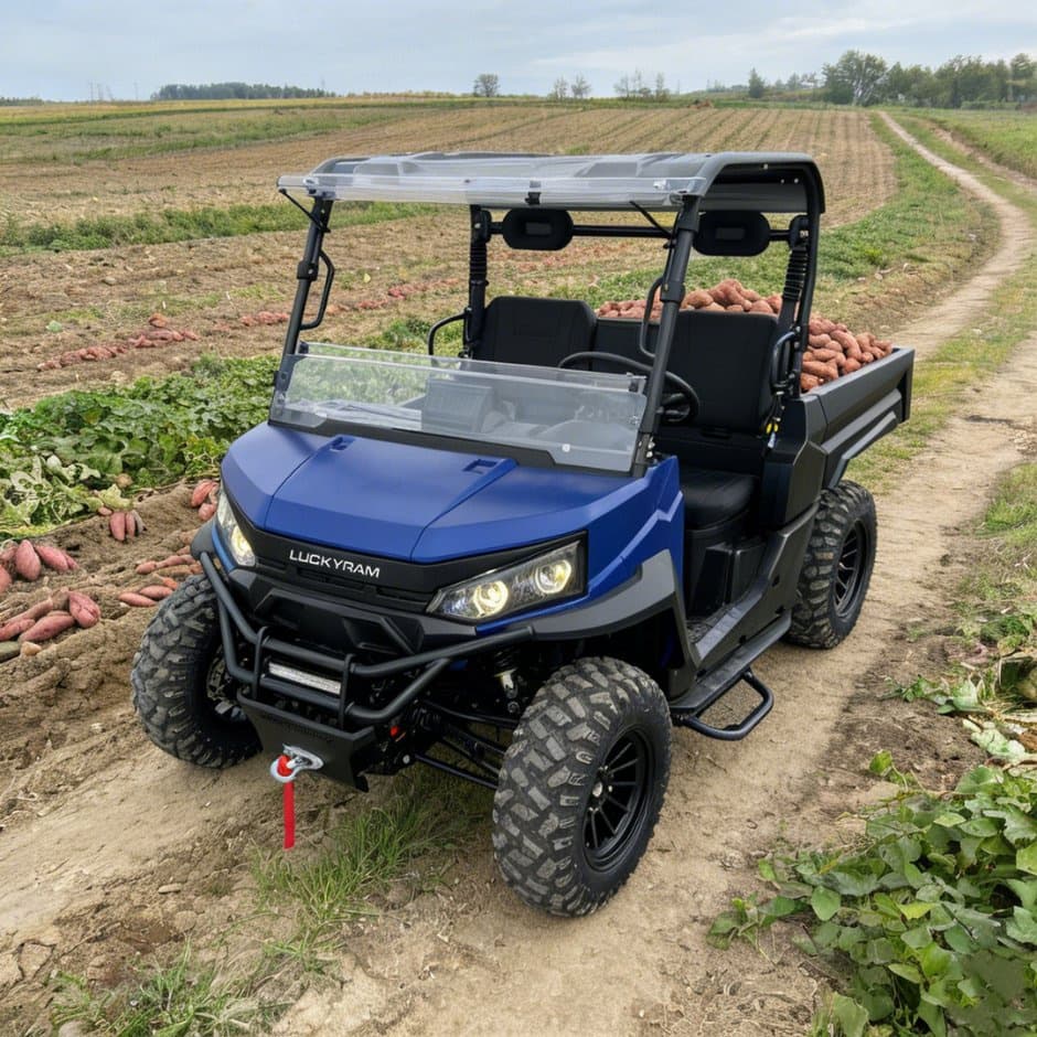 73,6V 4WD UTV 10kw AC-motor EPS-styring 150ah batteri