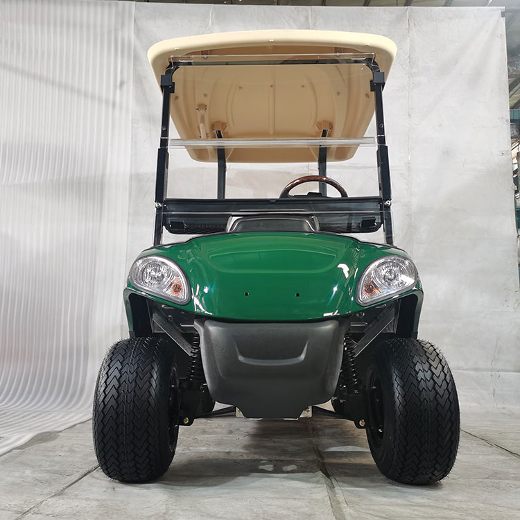Flerfarget 2-seters elektrisk golfbil, utstyrt med litiumbatteri